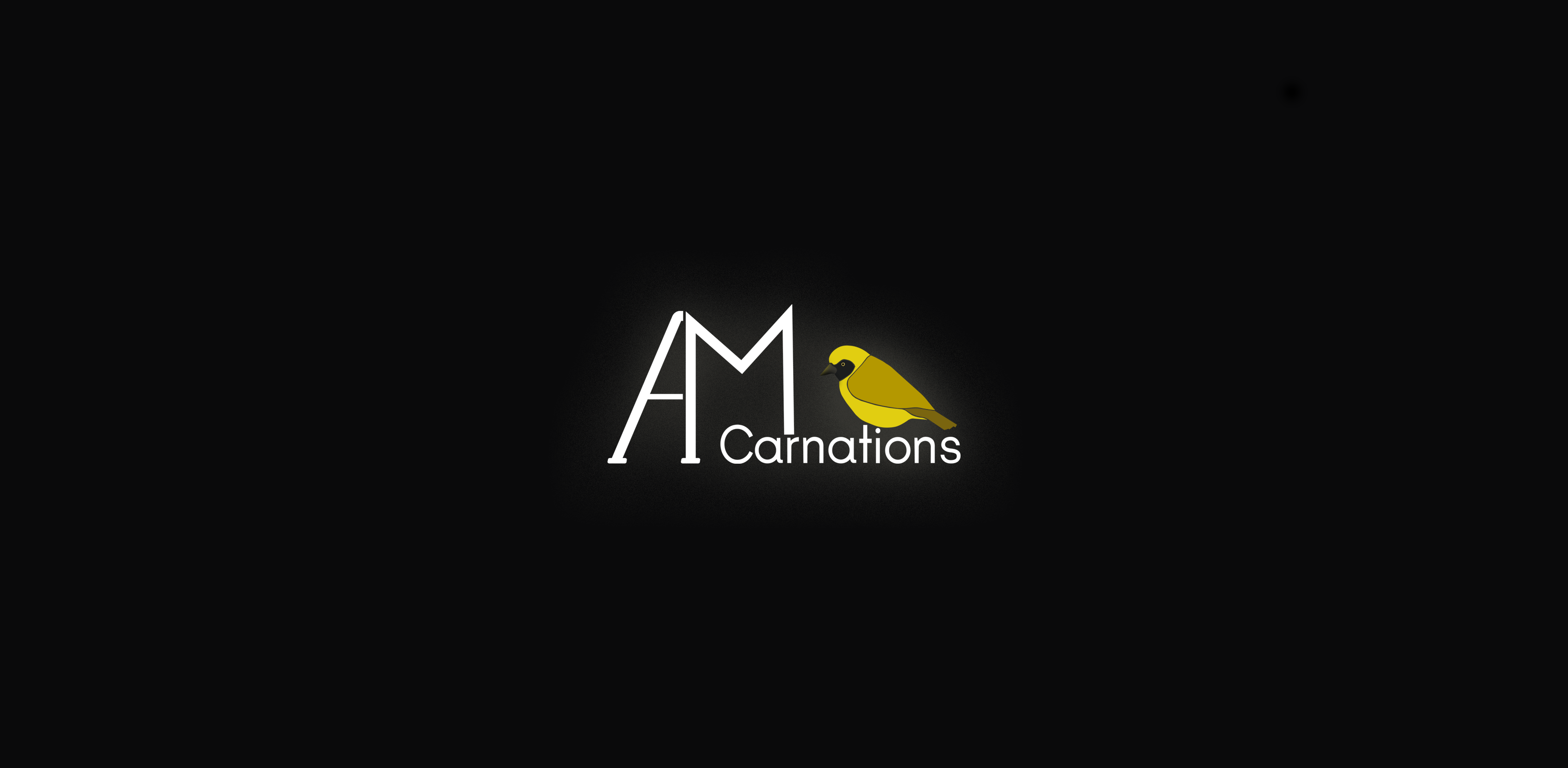 About AM Carnations