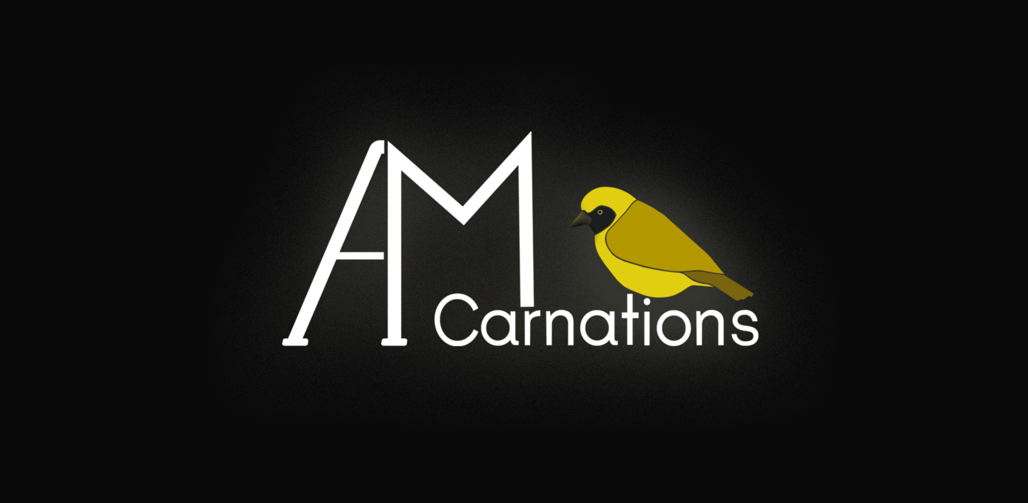 AM Carnations' Logo Signifance